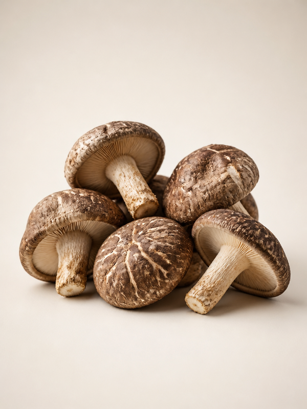 Beta-Glucan aus Pilzquellen