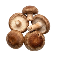 Beta-Glucan