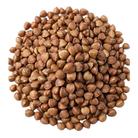 Vitamin B-Komplex